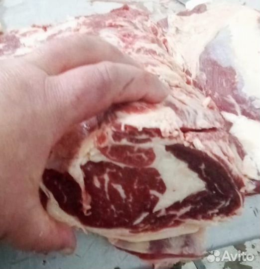 Продажа мяса говядина