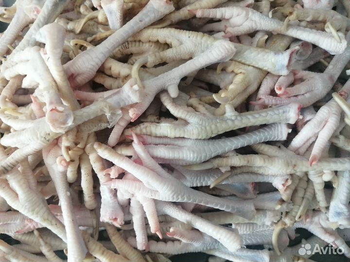 Субпродукты куриные сердце головы желудки лапы шеи