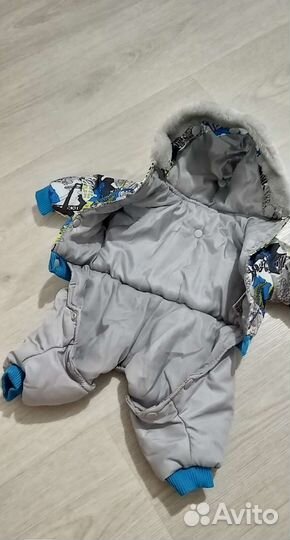 Комбинезон для маленькой собаки мальчик