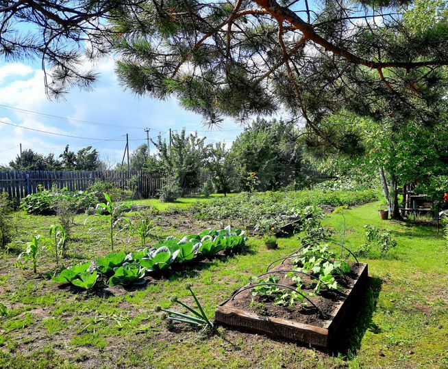 Участок 9 сот. (СНТ, ДНП)