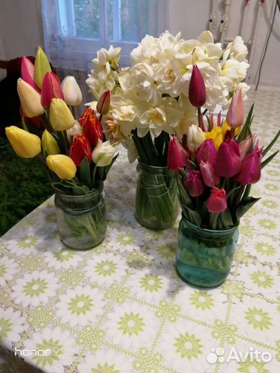 Тюльпаны цветы