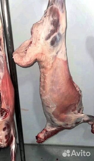 Туша баранины