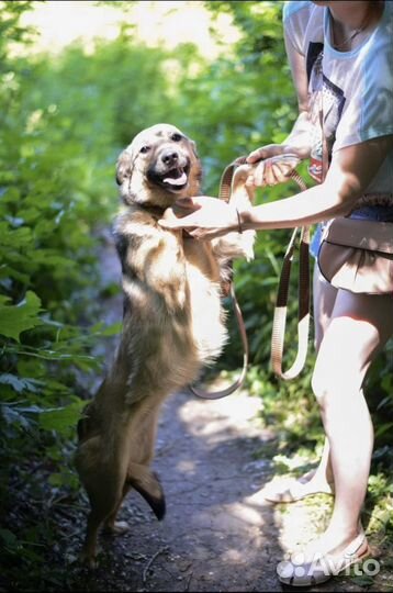 Миниатюрная девочка