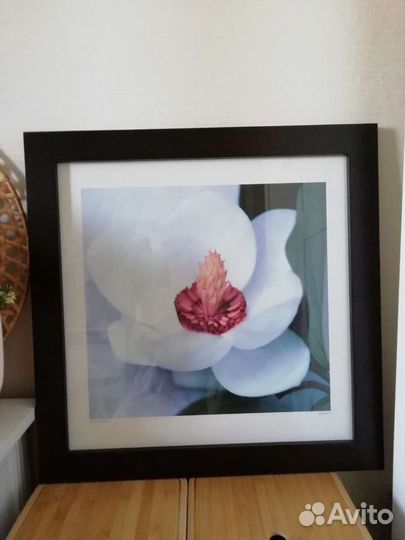 Картина, постер IKEA