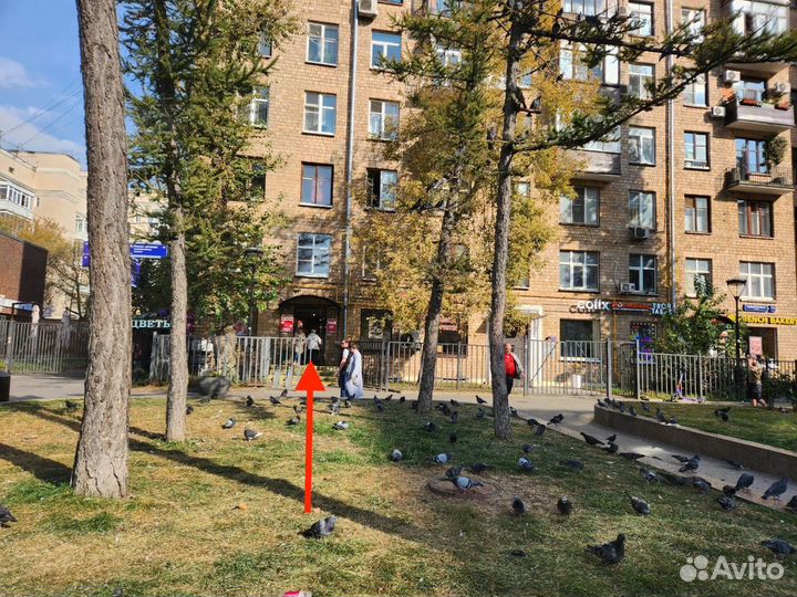 Продам известный табачный магазин М Павелецкая