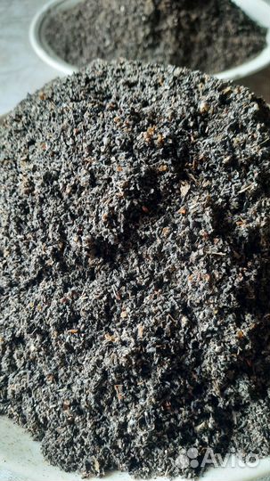 Экстракт пжвм. Огнёвка