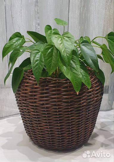 Кашпо из полиротанга