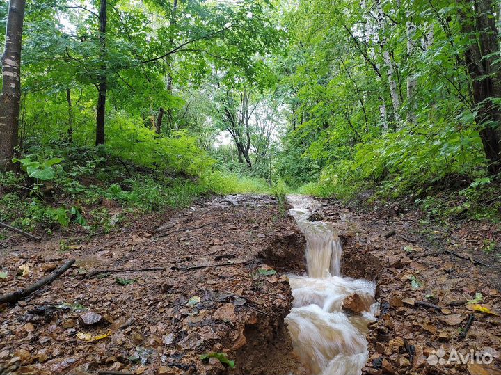 Тур выходного дня треккинг,хайкинг,дог-треккинг