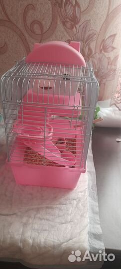 Джунгарский хомяк с клеткой