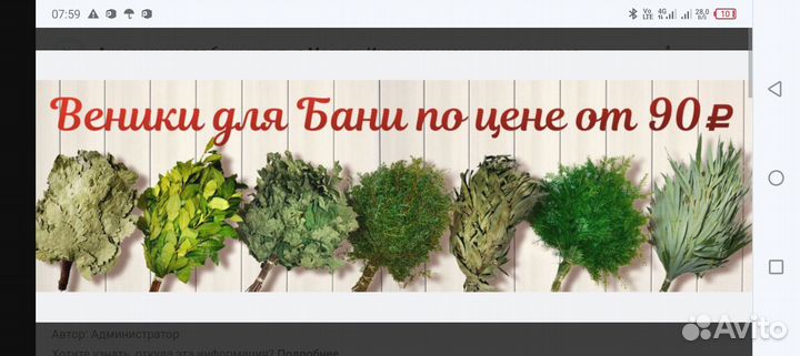 Веники для бани пихта,береза, можевельник,кедр дуб