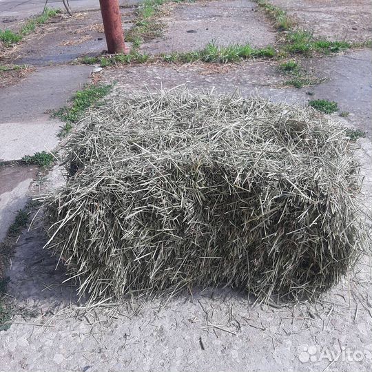 Сено луговое в тюках