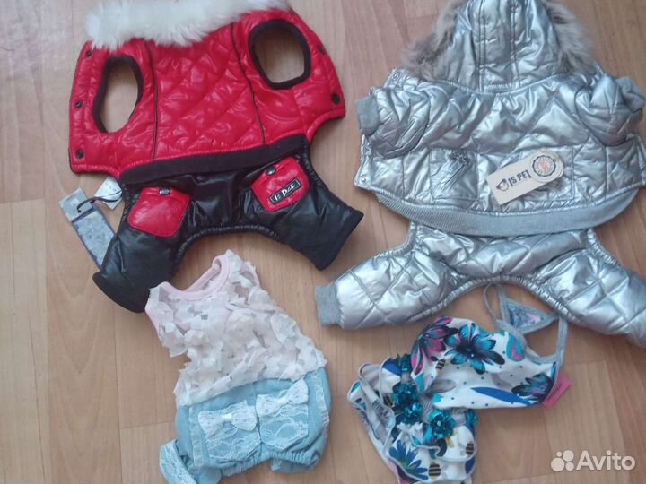 Одежда для маленьких собак