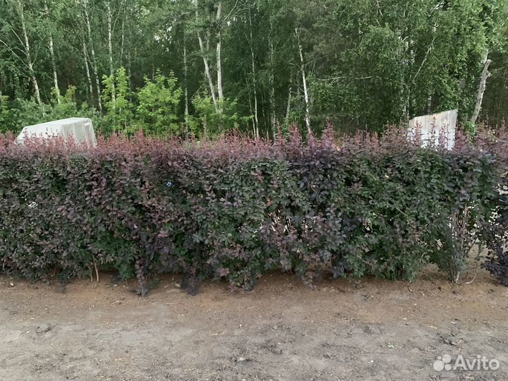 Услуги по озеленению и благоустройству