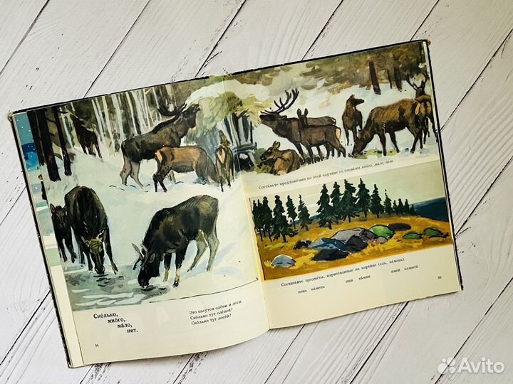 Русский язык в картинках