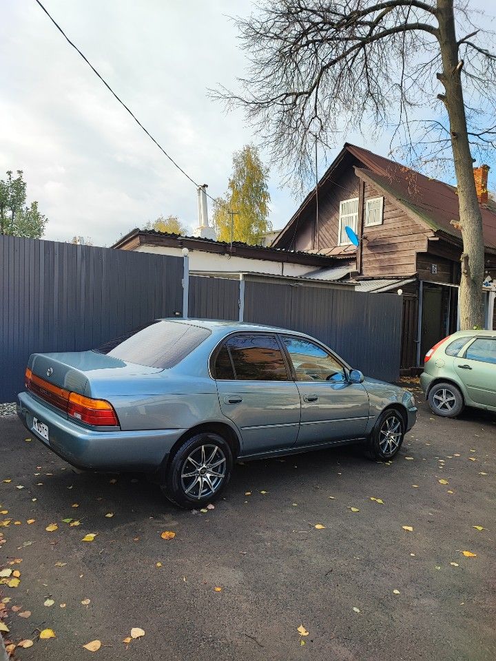 Toyota Corolla: фото владельца