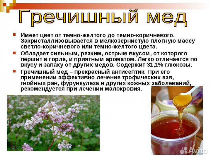 Предзаказ на алтайский мёд, беспл. доставка от 1 л