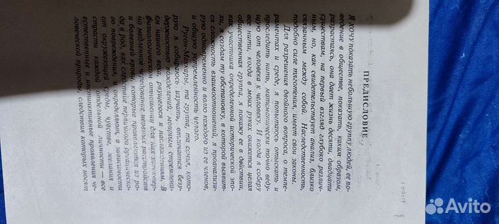 Эмиль Золя карьера ругонов