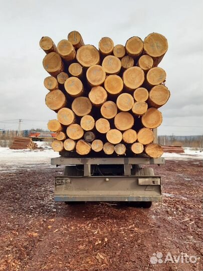 Круглый лес Сосна, Лиственница, Ель, Пихта