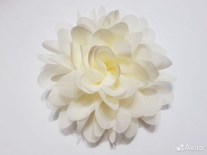 Декоративные цветы