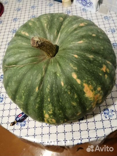 Семена тыквы Конфетка