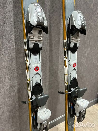 Горные лыжи