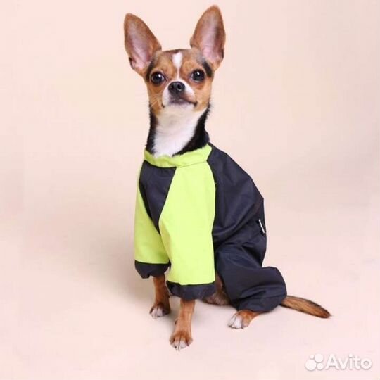 Дождевик для собаки