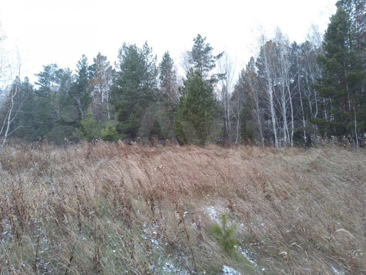 Участок 11 сот. (ИЖС)