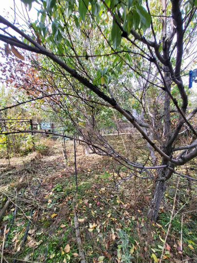 Дом 75 м² на участке 6 сот.