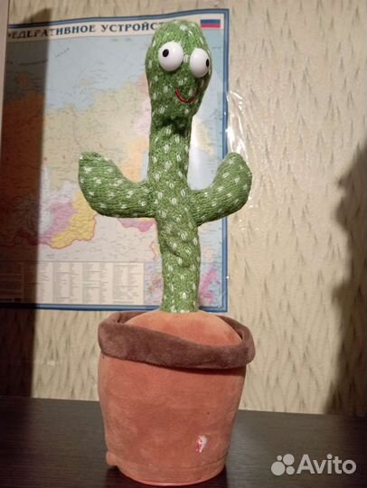 Поющий кактус