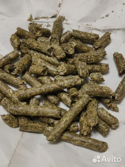 Овес+ люцерна