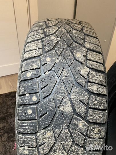 Gislaved ArcticControl 205/55 R16