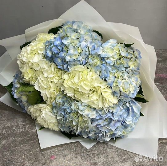 Букеты из гортензий Цветы Розы Пионы Гипсофила