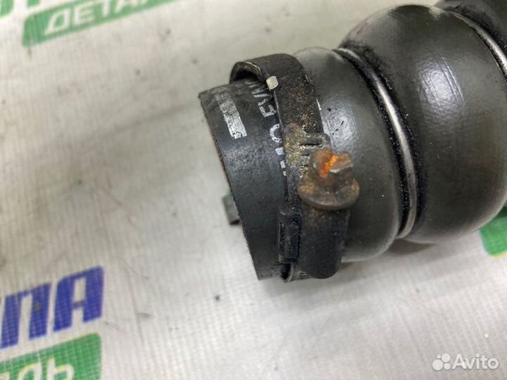 Патрубок интеркулера Ford C-Max DV6 2011