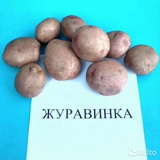Картофель на зиму