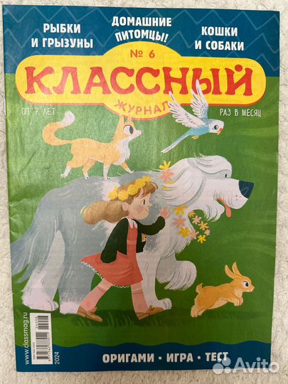 Классный журнал 2024