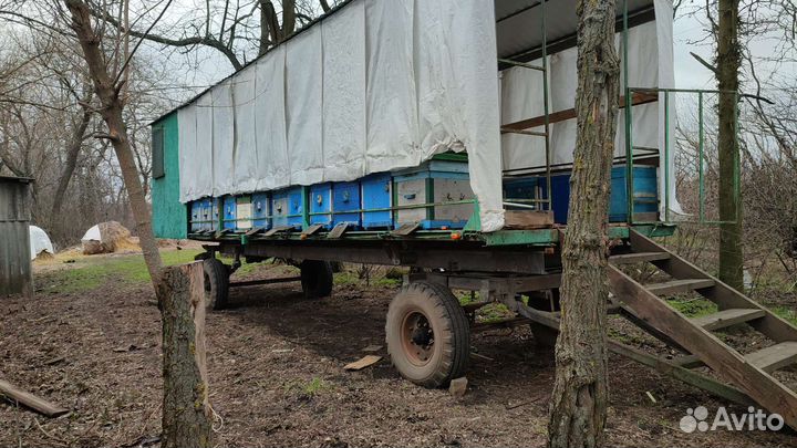 Продается пасека. Прицеп для пчёл. Улья. Медогонка