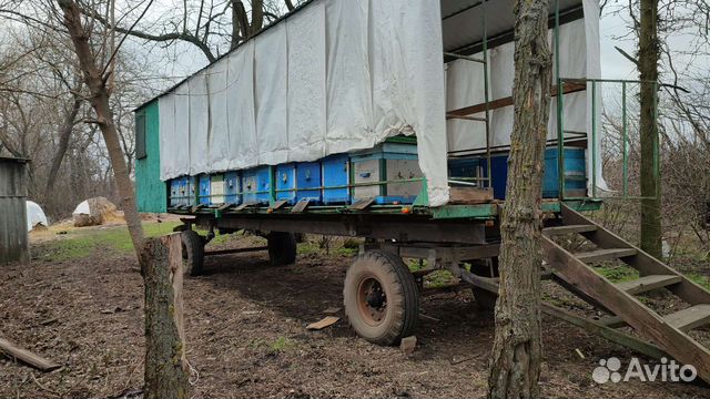 Продается пасека. Прицеп для пчёл. Улья. Медогонка