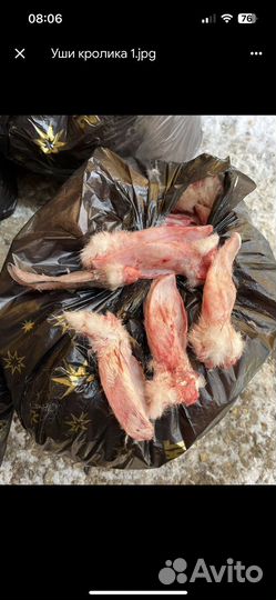 Уши кролика