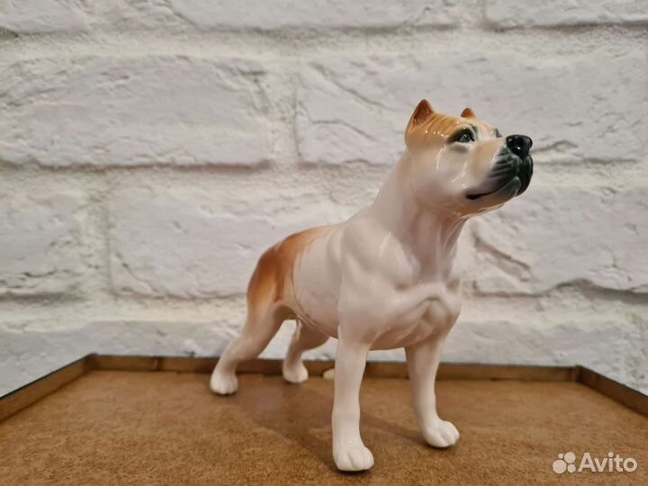 Стаффордширский терьер