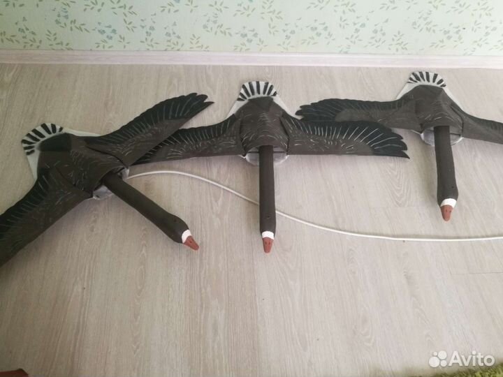 Гуси (махокрыл)