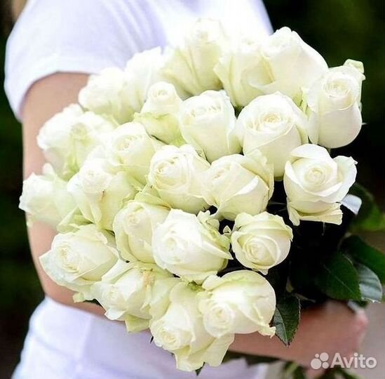 Высокие розы Гигантские розы Доставка цветов