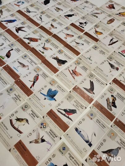 Крылья и Ark Nova файлы с переводом карт