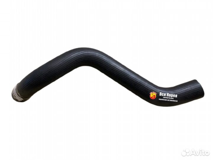 Патрубок радиатора нижний SsangYong Actyon