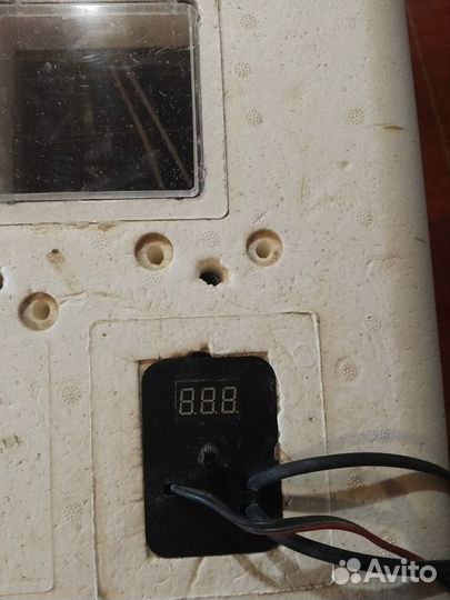 Инкубатор для яиц автоматический бу