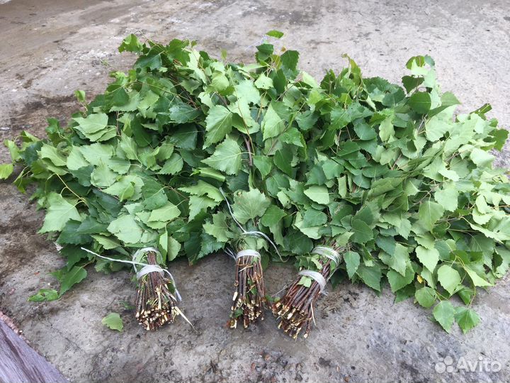 Березовые веники