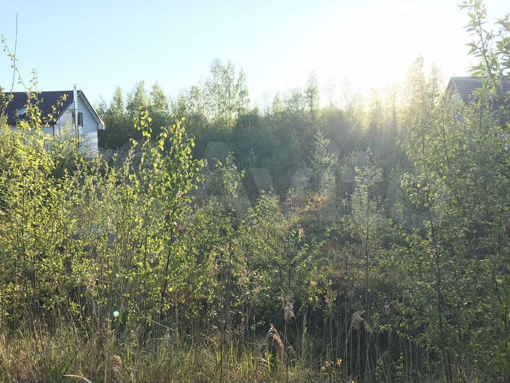 Участок 8 сот. (СНТ, ДНП)