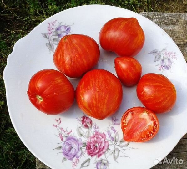 Томаты-Гномы рассада. Урожай и вкус