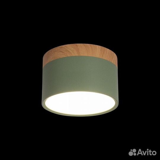 Накладной светильник Loft it Grape 10162 Green