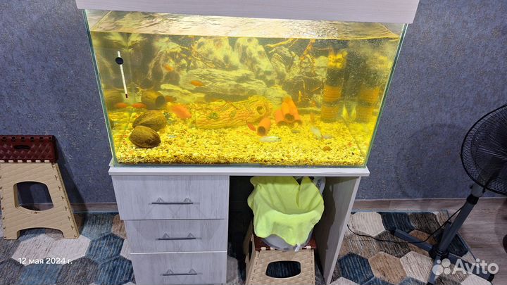 Аквариум с тумбой 250 литров