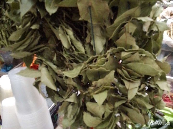 Укропа пучки зонтики семена